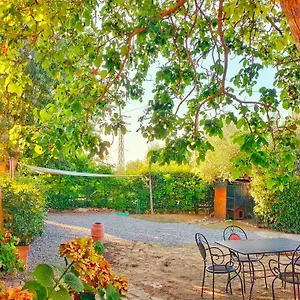 La Casina Casa vacanze Acquaviva (Poggibonsi)
